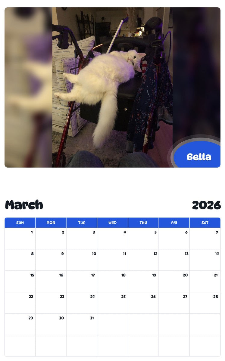 November 2025 - October 2026 Bella - Pawidols Pet Calendar