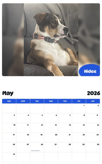 2026 - 2027 Hidee - Pawidols Pet Calendar