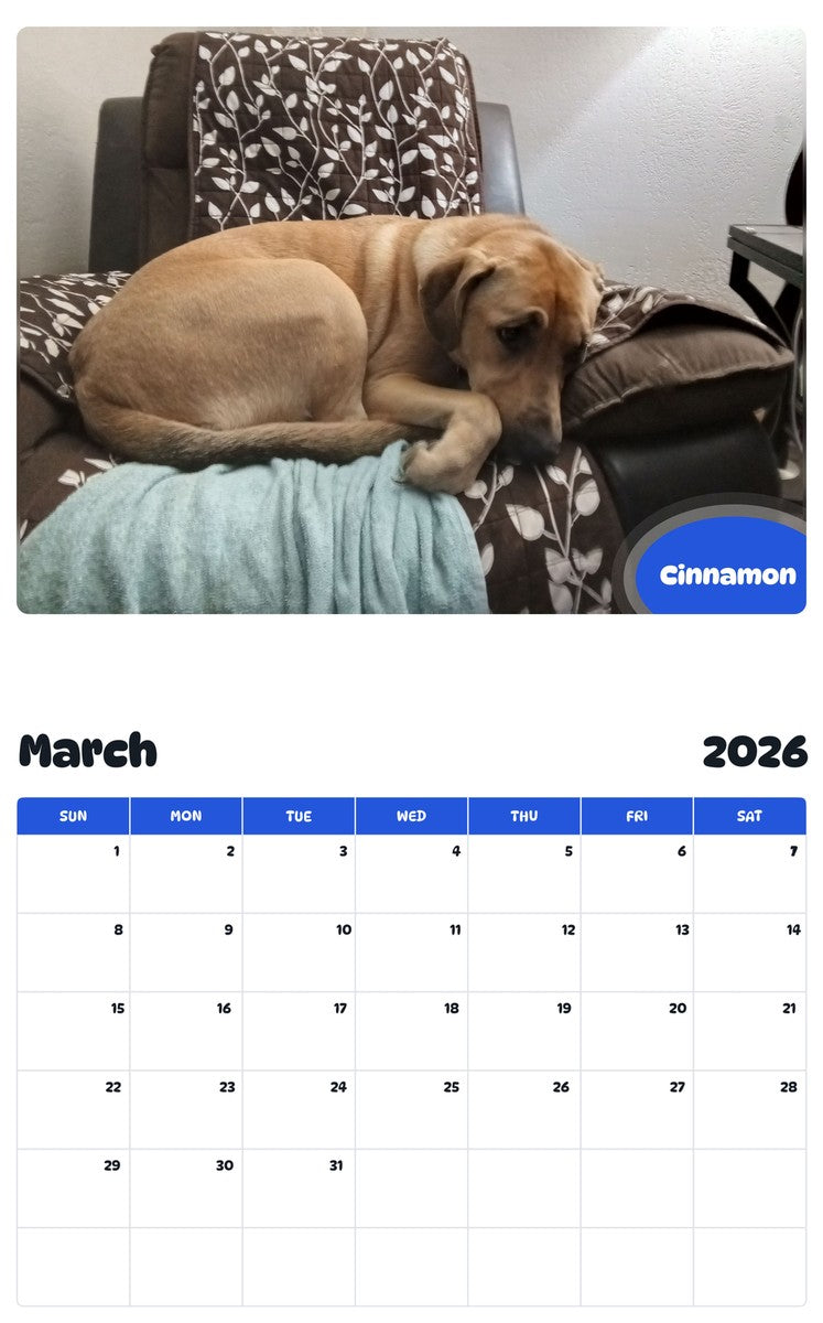 November 2025 - October 2026 Cinnamon - Pawidols Pet Calendar