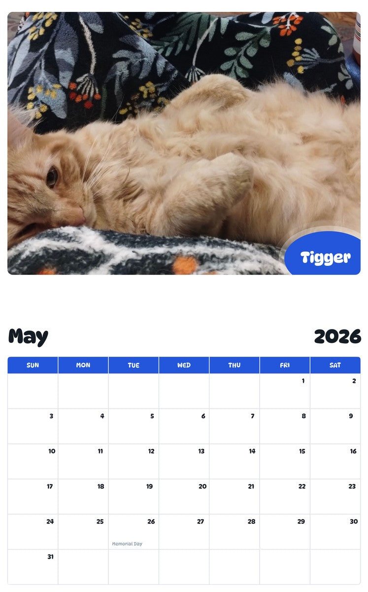 2026 - 2027 Tigger - Pawidols Pet Calendar