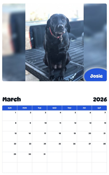 November 2025 - October 2026 Josie - Pawidols Pet Calendar