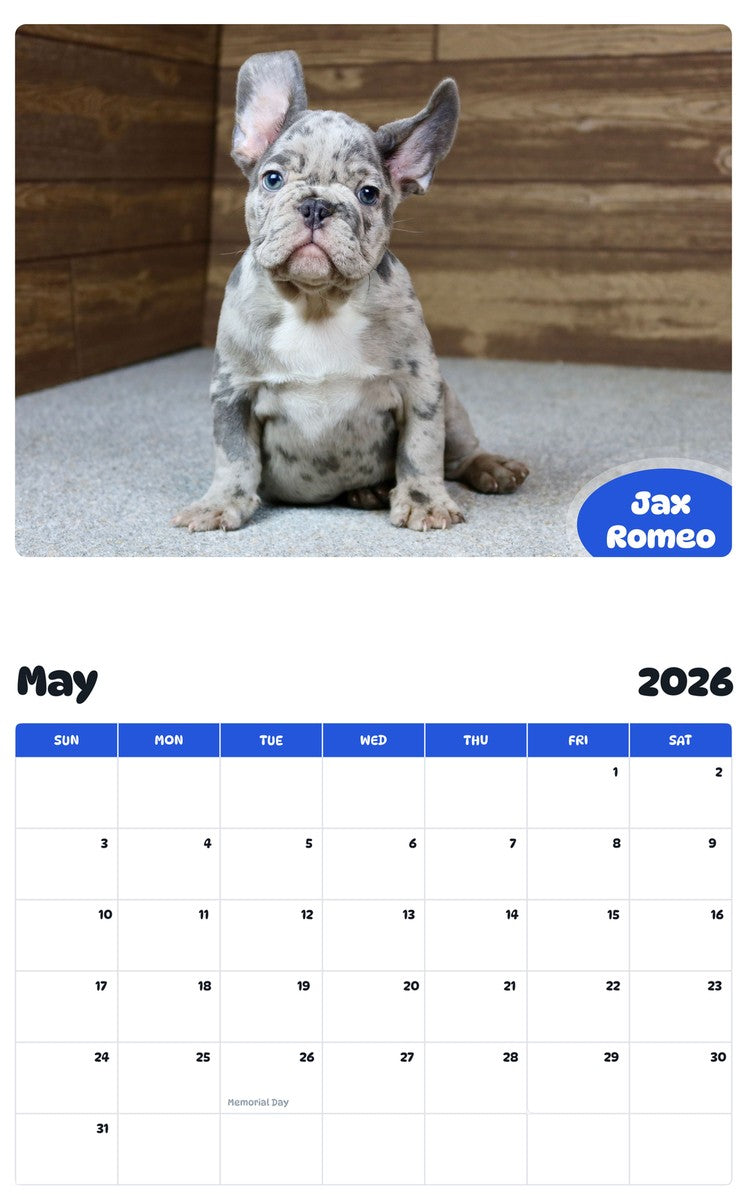2026 - 2027 Jax Romeo - Pawidols Pet Calendar