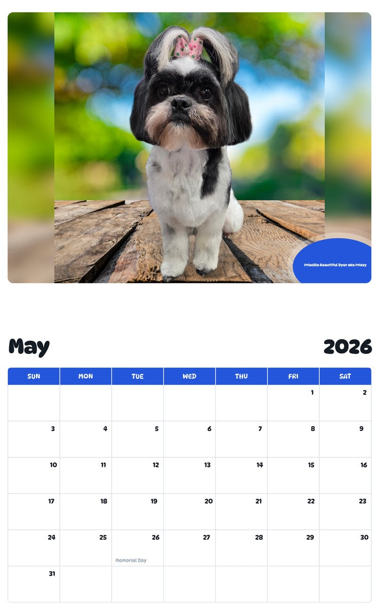 2026 - 2027 Priscilla Beautiful Dyer aka Prissy - Pawidols Pet Calendar