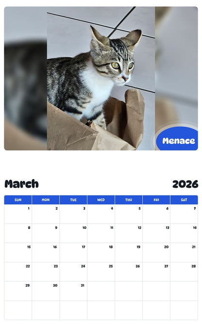 November 2025 - October 2026 Menace - Pawidols Pet Calendar