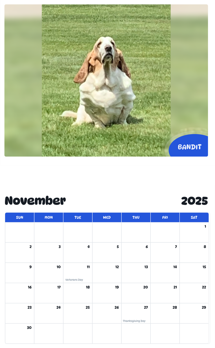 July 2025 - June 2026 Bandit - Pawidols Pet Calendar