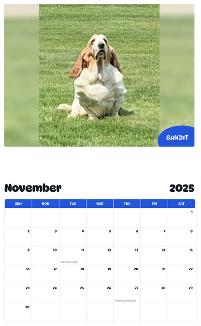 July 2025 - June 2026 Bandit - Pawidols Pet Calendar