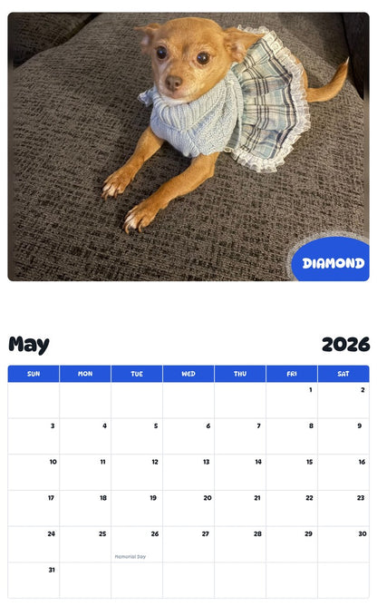 2026 - 2027 DIAMOND - Pawidols Pet Calendar