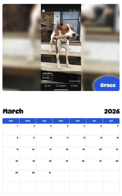 November 2025 - October 2026 Grace - Pawidols Pet Calendar