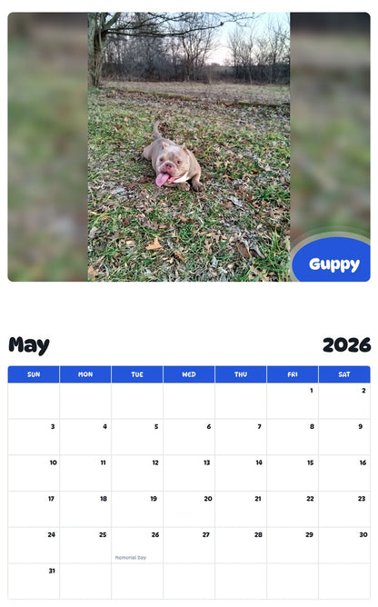 2026 - 2027 Guppy - Pawidols Pet Calendar