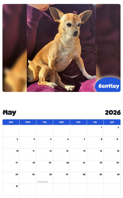 2026 - 2027 Bentley - Pawidols Pet Calendar
