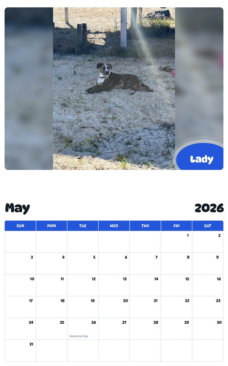 2026 - 2027 Lady - Pawidols Pet Calendar