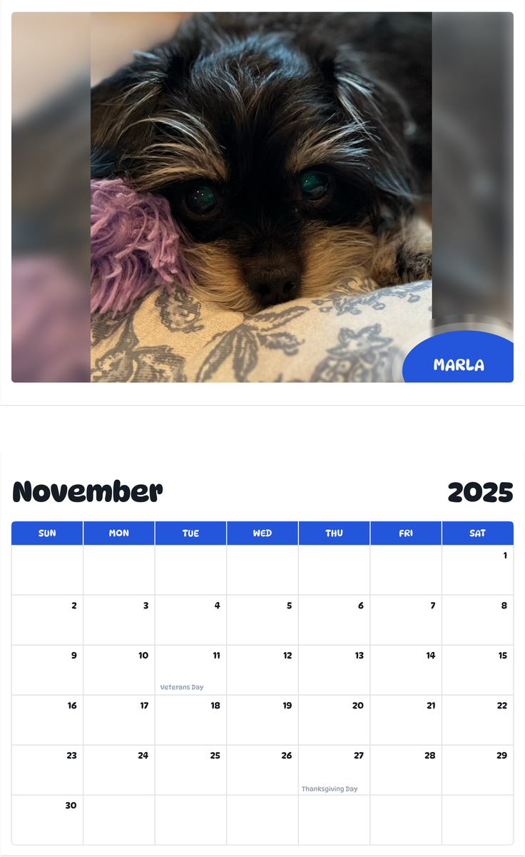 July 2025 - June 2026 Marla - Pawidols Pet Calendar