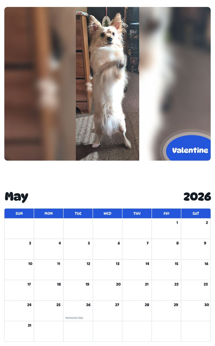 2026 - 2027 Valentine - Pawidols Pet Calendar