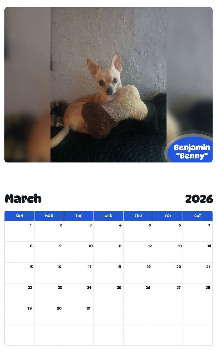 November 2025 - October 2026 Benjamin "Benny" - Pawidols Pet Calendar