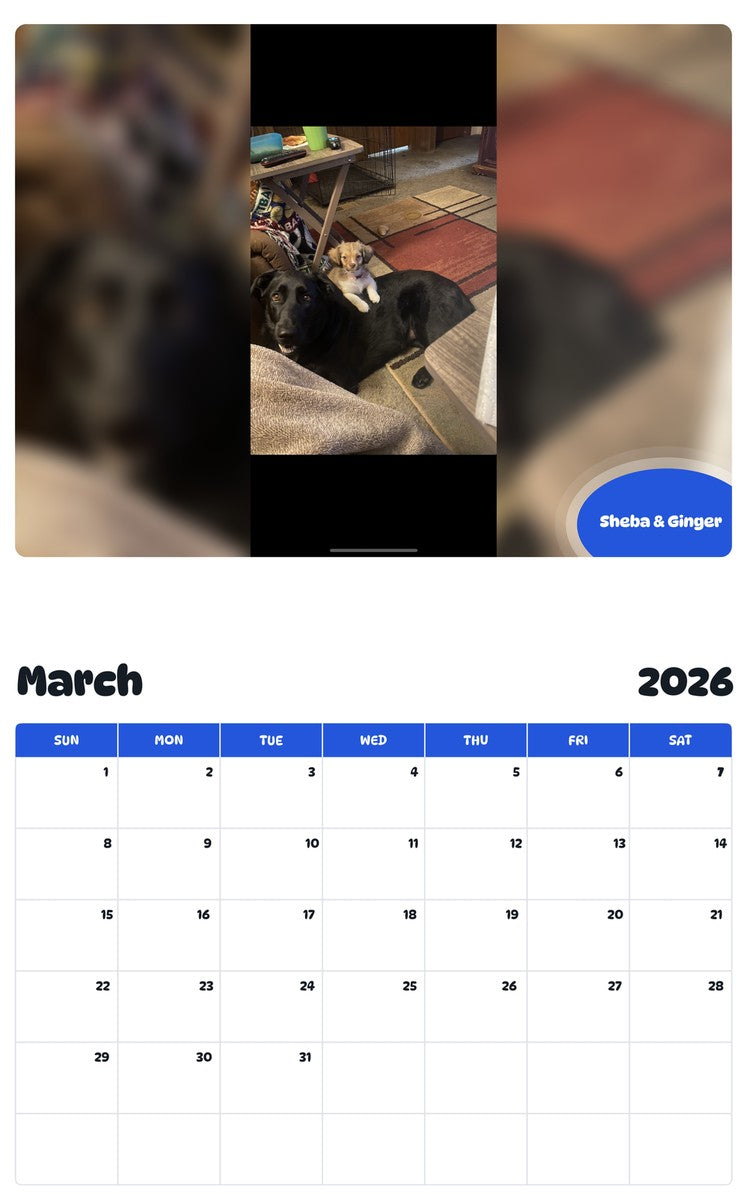 November 2025 - October 2026 Sheba & Ginger - Pawidols Pet Calendar