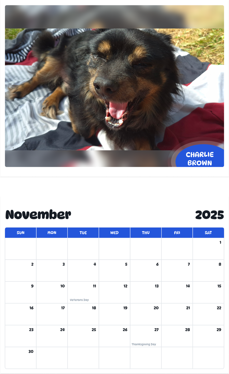 July 2025 - June 2026 Charlie brown - Pawidols Pet Calendar