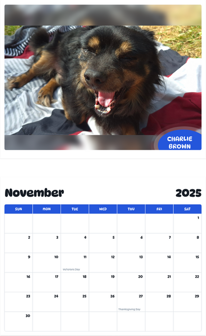 July 2025 - June 2026 Charlie brown - Pawidols Pet Calendar