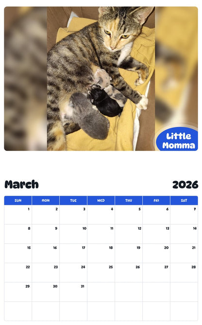 November 2025 - October 2026 Little Momma - Pawidols Pet Calendar