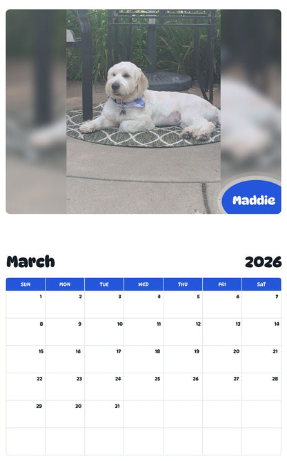 November 2025 - October 2026 Maddie - Pawidols Pet Calendar