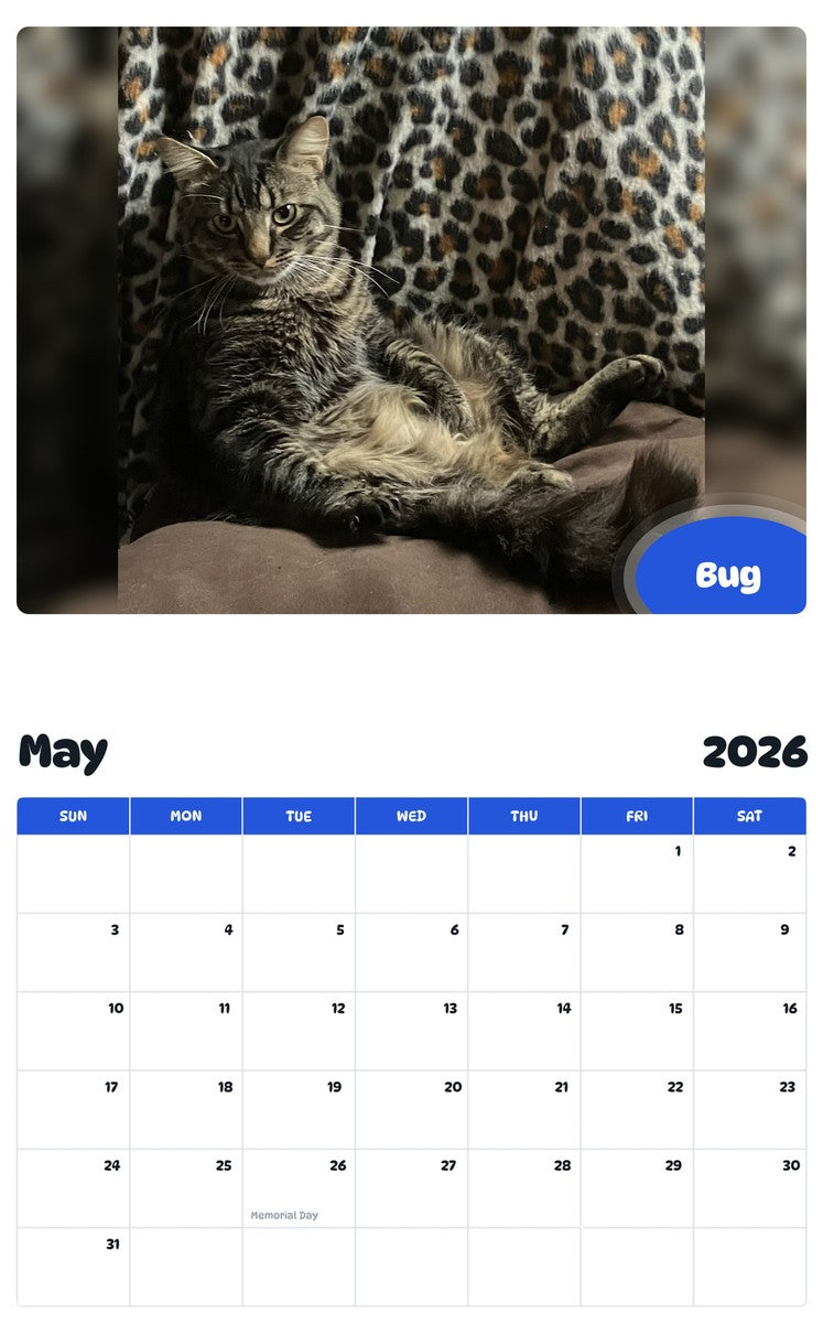 2026 - 2027 Bug - Pawidols Pet Calendar
