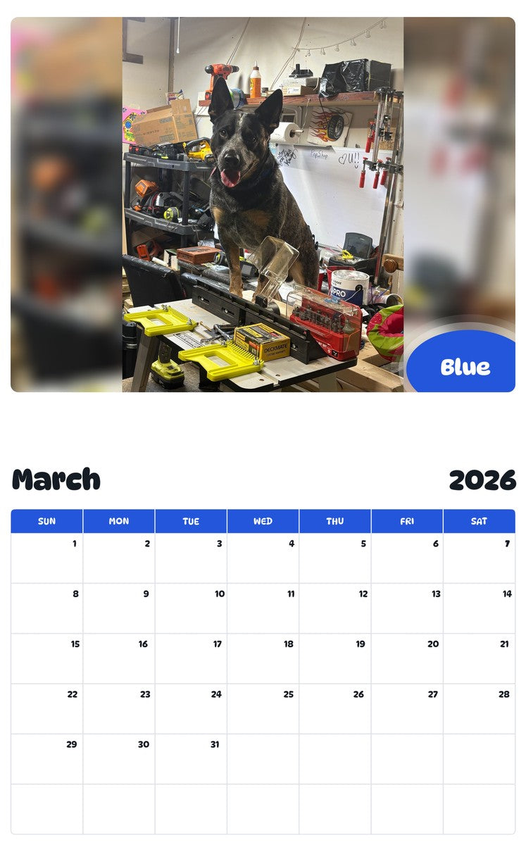 November 2025 - October 2026 Blue - Pawidols Pet Calendar