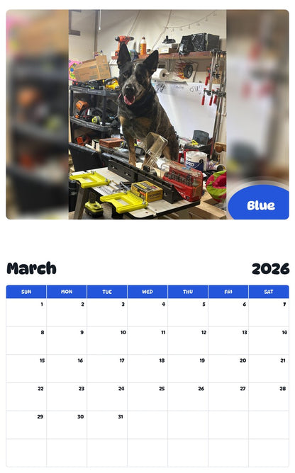 November 2025 - October 2026 Blue - Pawidols Pet Calendar
