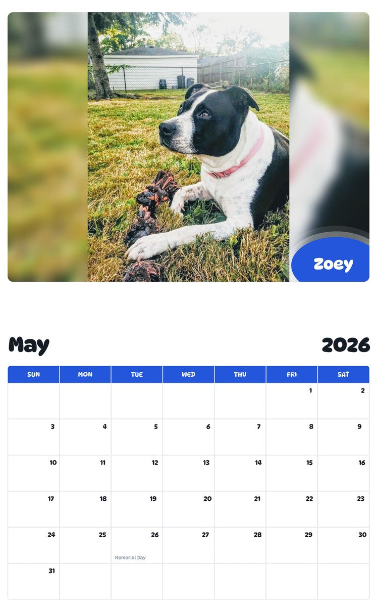2026 - 2027 Zoey - Pawidols Pet Calendar