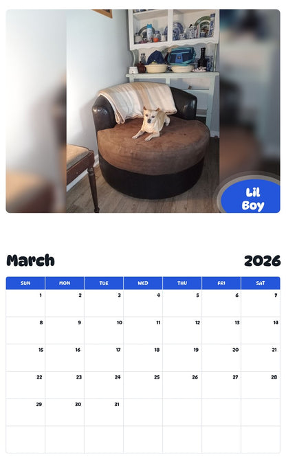 November 2025 - October 2026 Lil Boy - Pawidols Pet Calendar