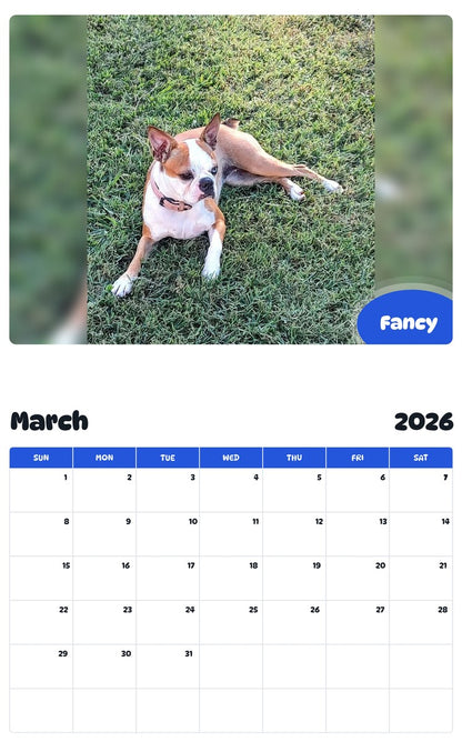 November 2025 - October 2026 Fancy - Pawidols Pet Calendar