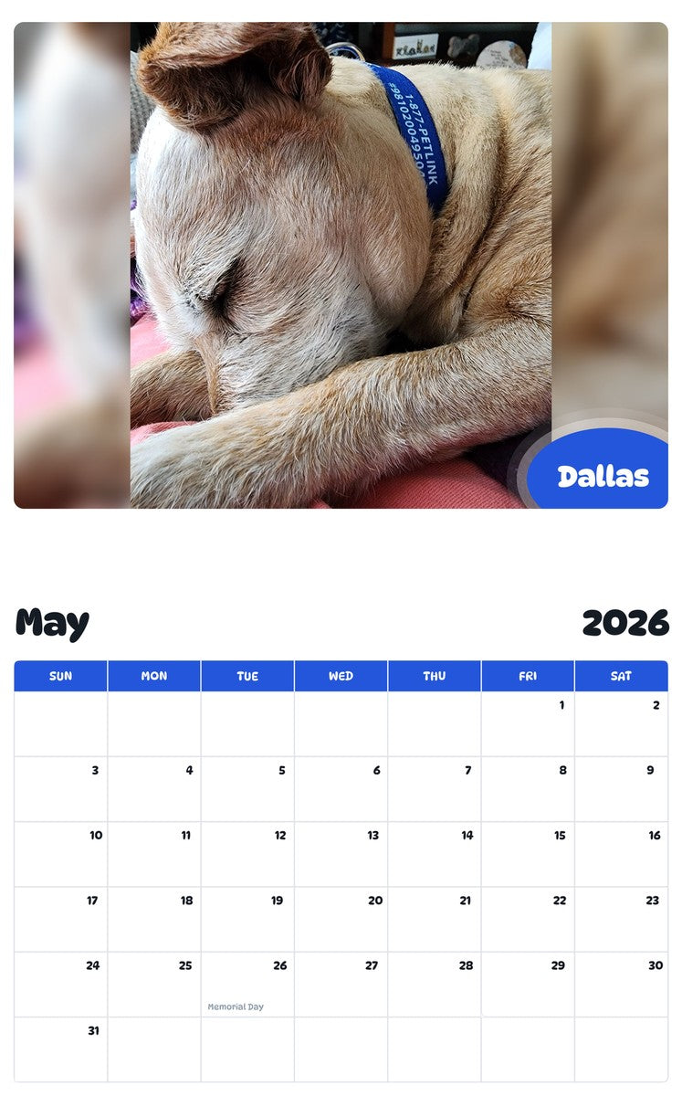 2026 - 2027 Dallas - Pawidols Pet Calendar
