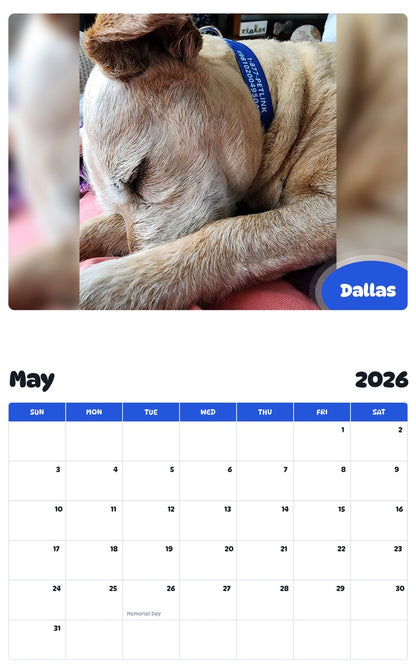 2026 - 2027 Dallas - Pawidols Pet Calendar