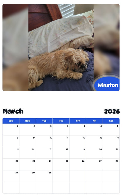 November 2025 - October 2026 Winston - Pawidols Pet Calendar