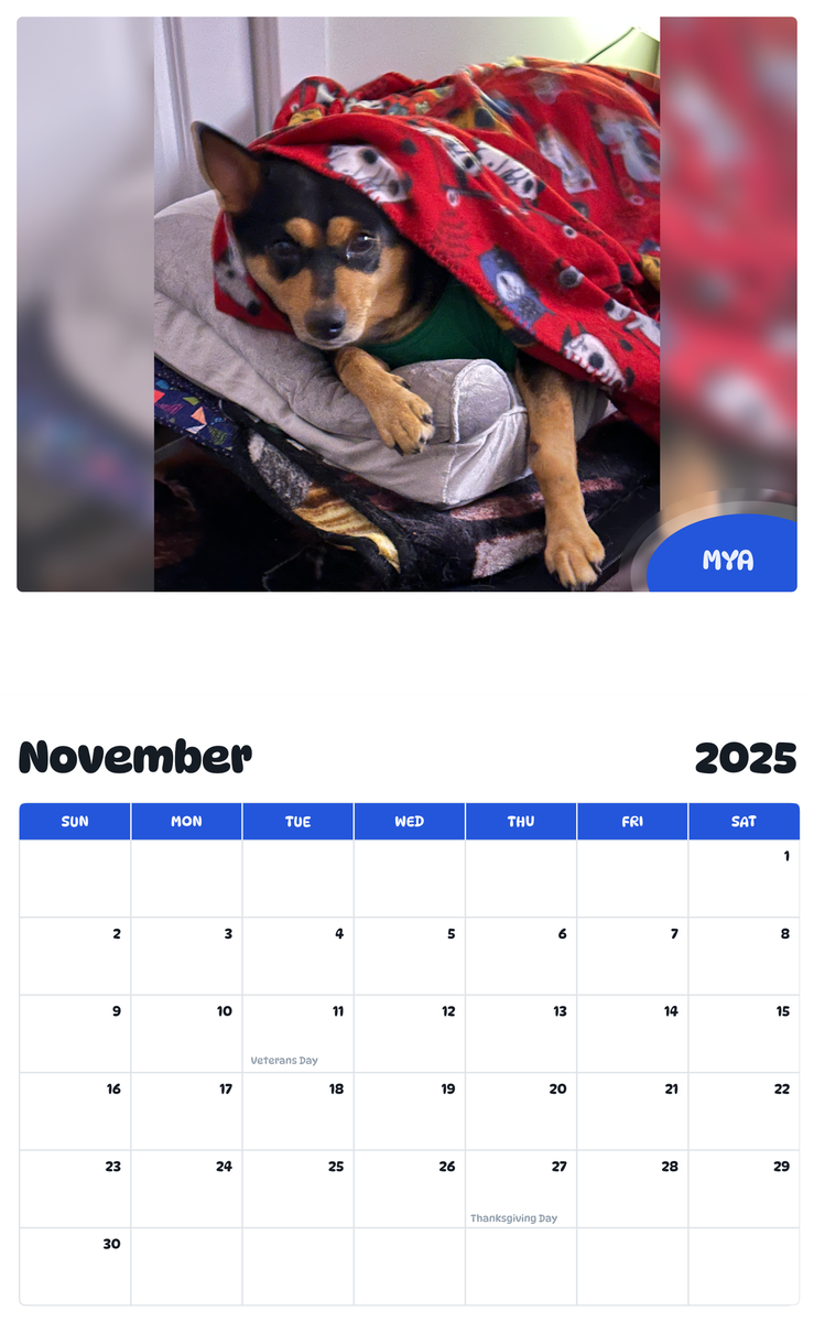 July 2025 - June 2026 Mya - Pawidols Pet Calendar