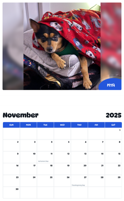July 2025 - June 2026 Mya - Pawidols Pet Calendar