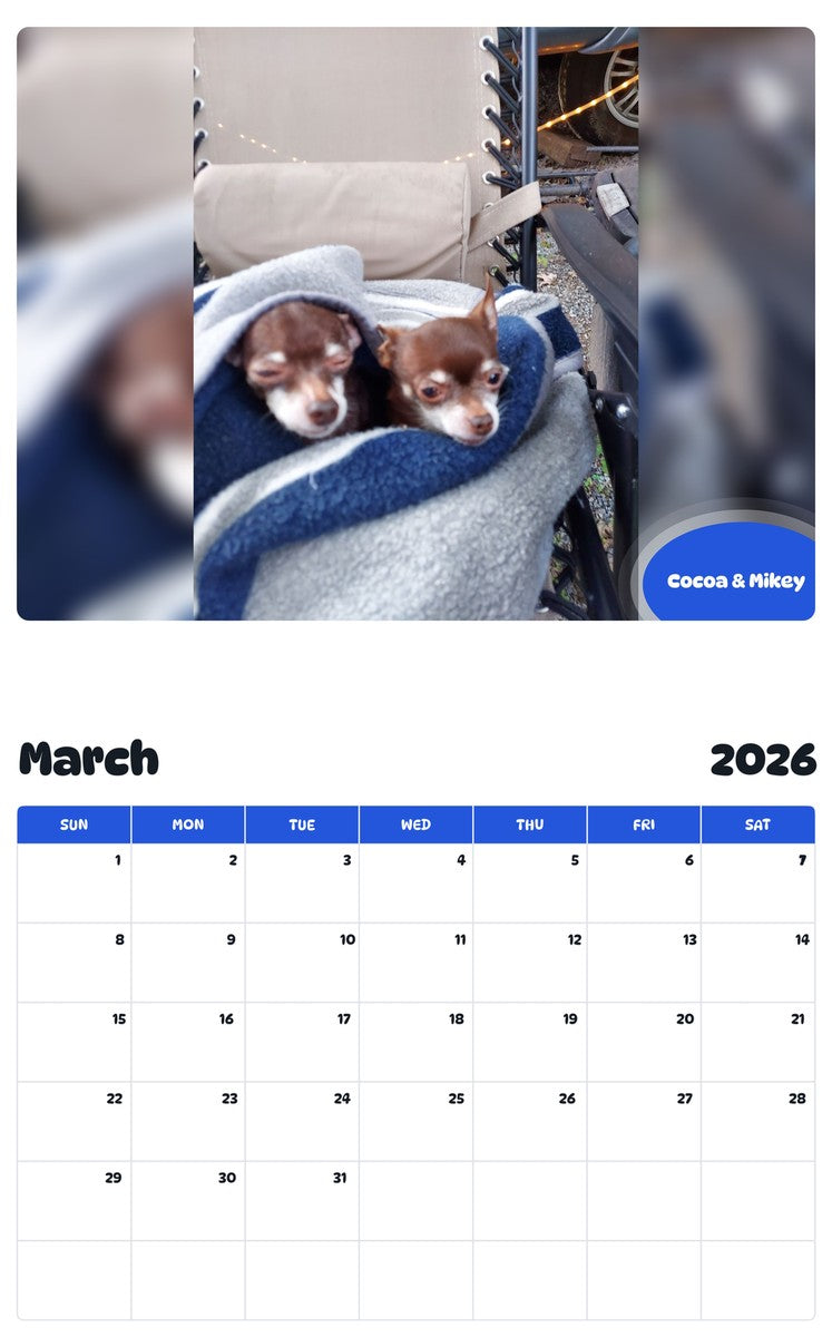 November 2025 - October 2026 Cocoa & Mikey - Pawidols Pet Calendar