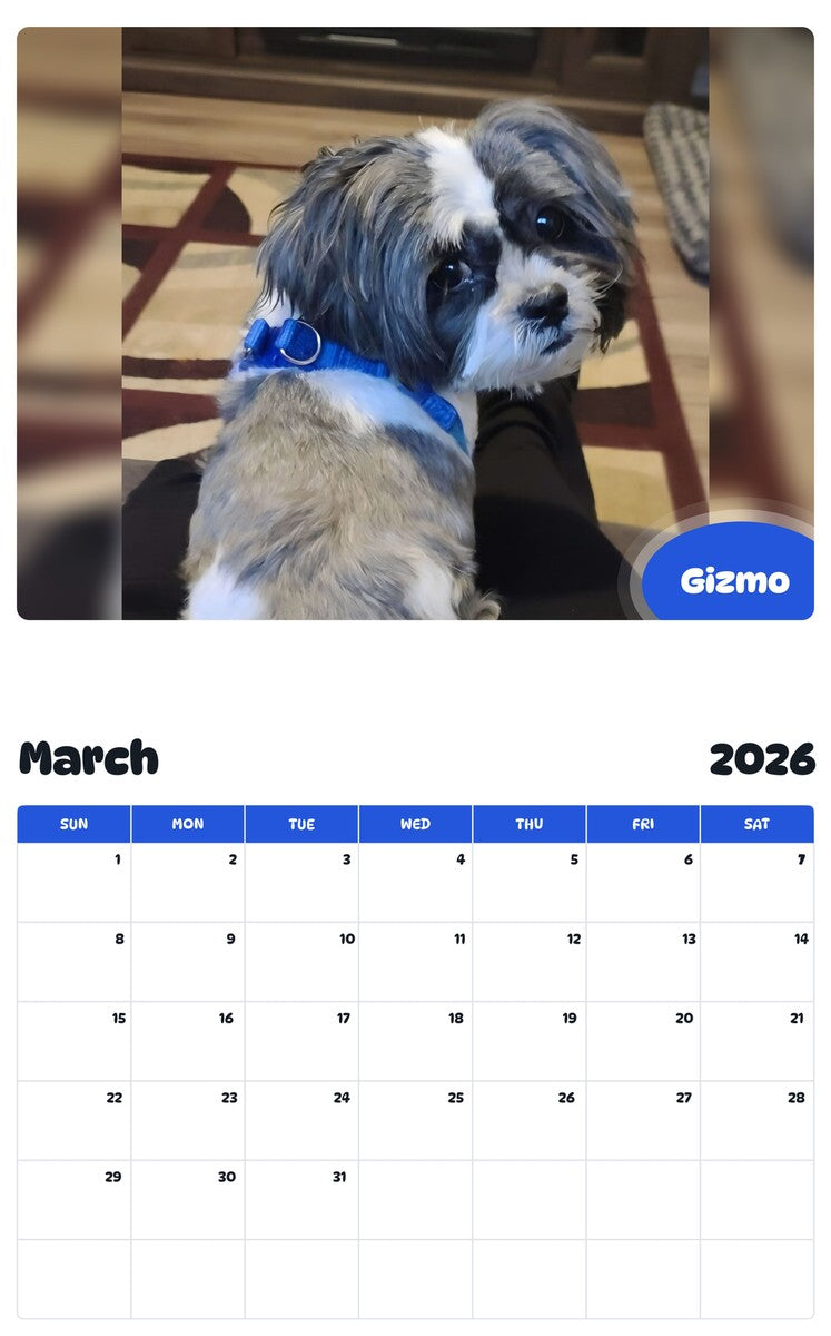 November 2025 - October 2026 Gizmo - Pawidols Pet Calendar