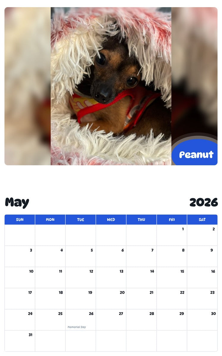 2026 - 2027 Peanut - Pawidols Pet Calendar