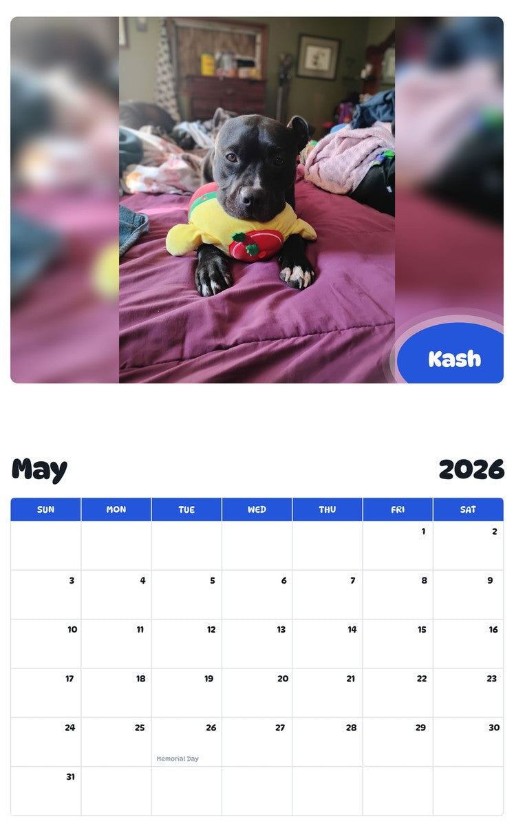 2026 - 2027 Kash - Pawidols Pet Calendar