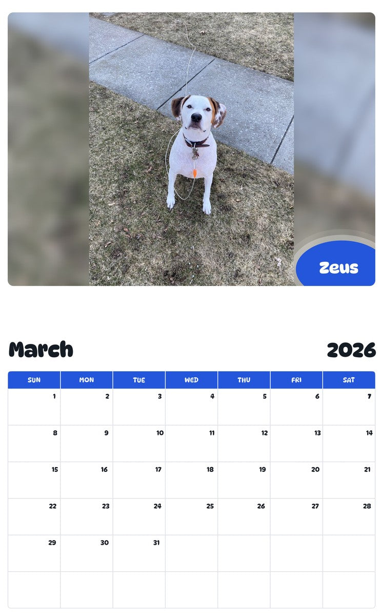 November 2025 - October 2026 Zeus - Pawidols Pet Calendar