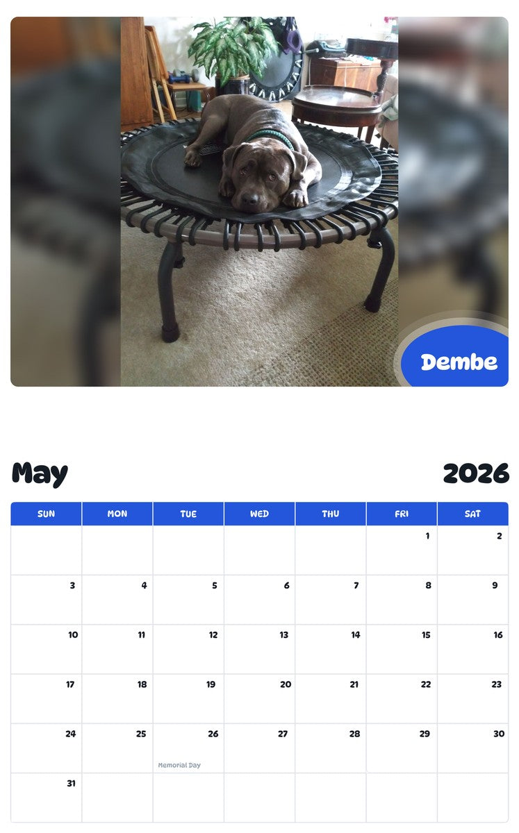 2026 - 2027 Dembe - Pawidols Pet Calendar