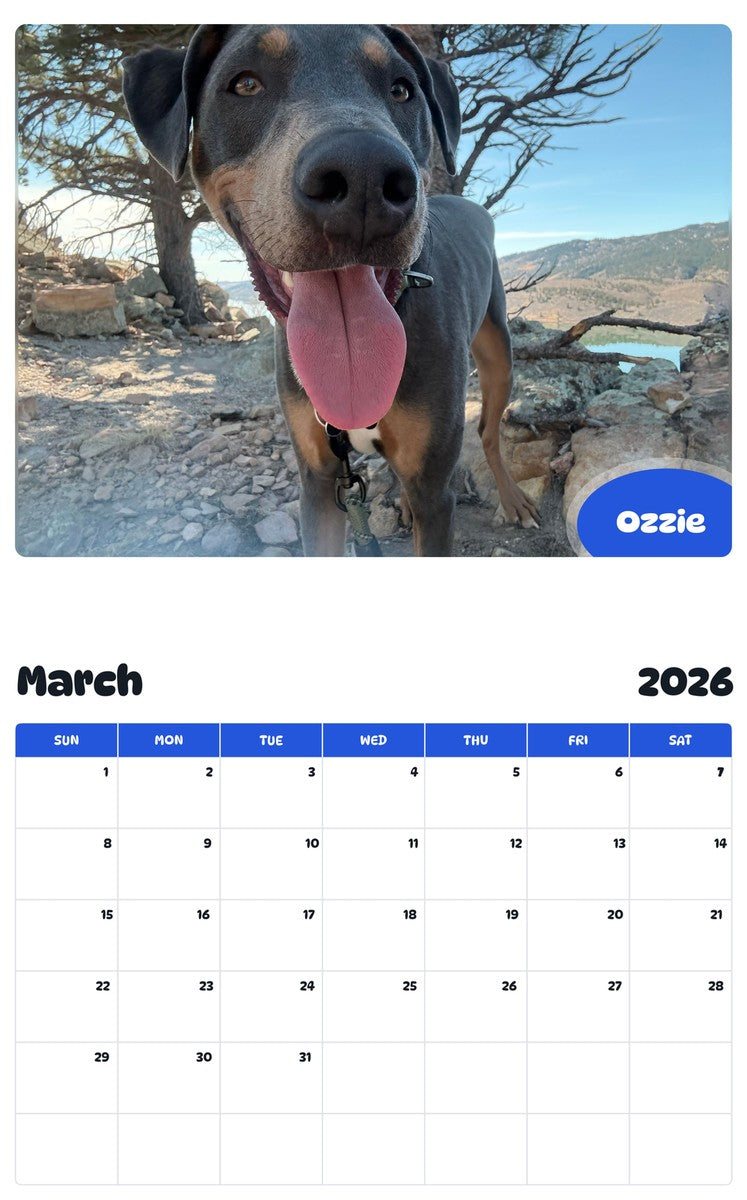 November 2025 - October 2026 Ozzie - Pawidols Pet Calendar