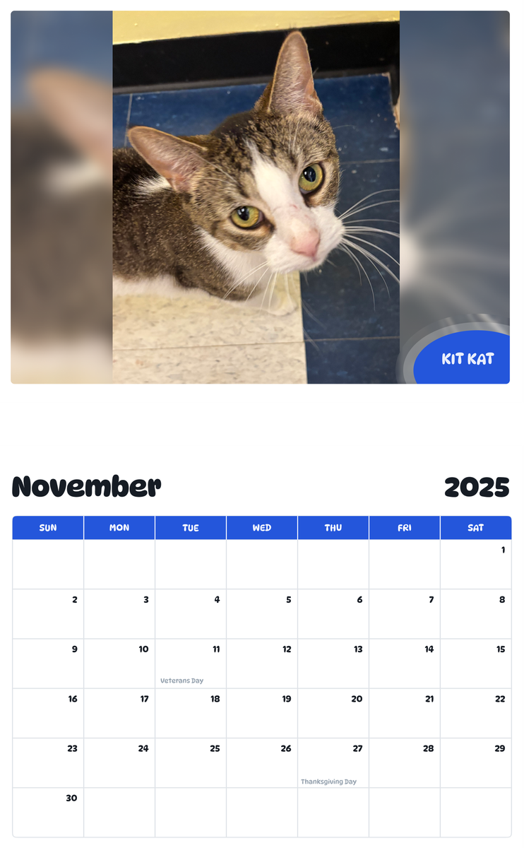 July 2025 - June 2026 Kit Kat - Pawidols Pet Calendar