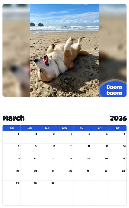 November 2025 - October 2026 Boom boom - Pawidols Pet Calendar