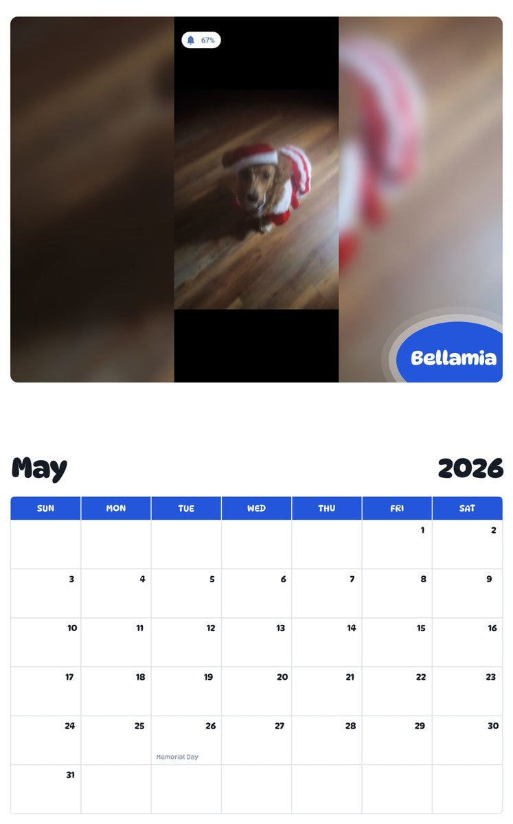 2026 - 2027 Bellamia - Pawidols Pet Calendar
