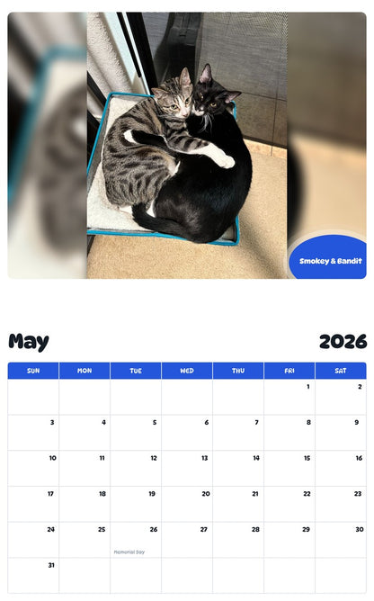 2026 - 2027 Smokey & Bandit - Pawidols Pet Calendar