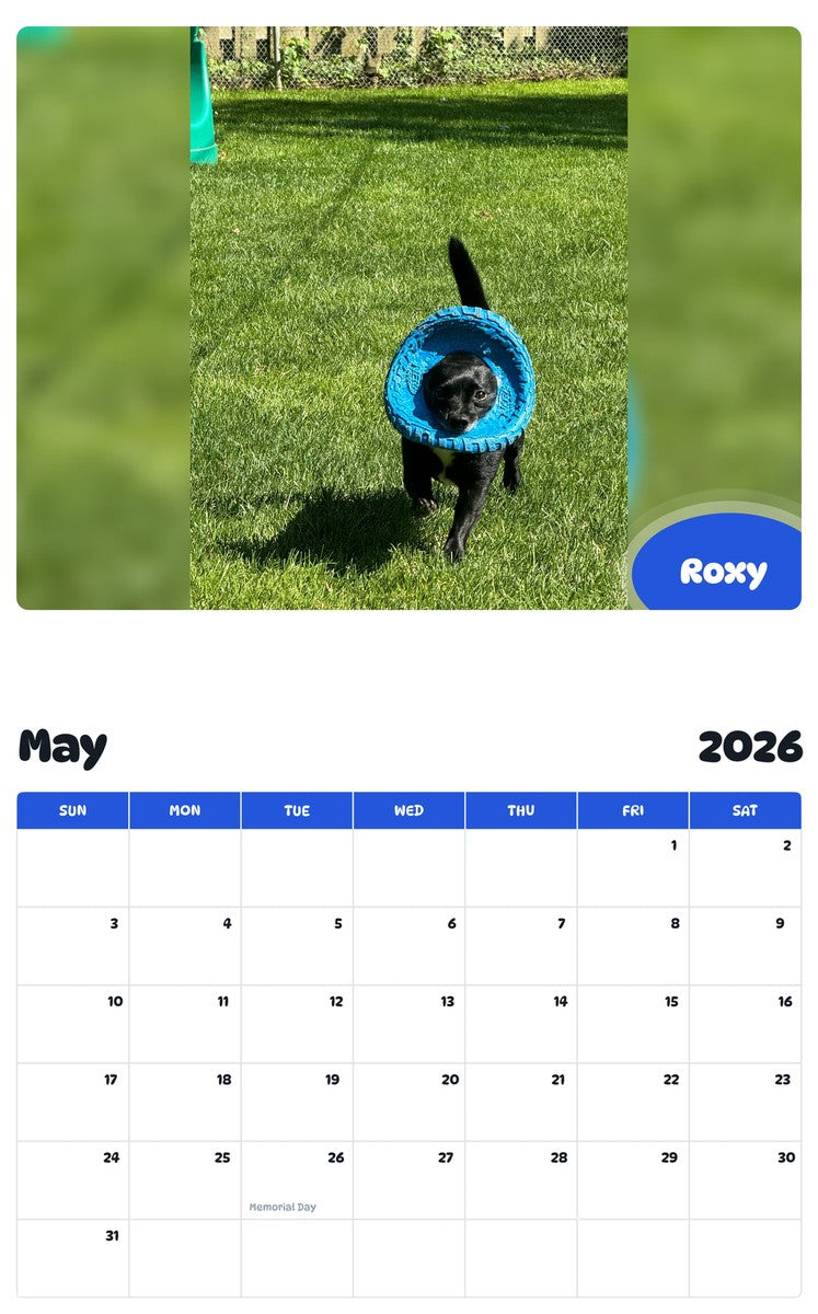 2026 - 2027 Roxy - Pawidols Pet Calendar