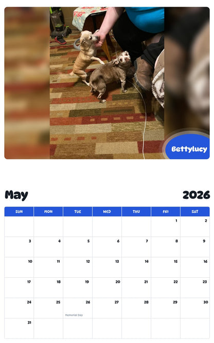 2026 - 2027 Bettylucy - Pawidols Pet Calendar