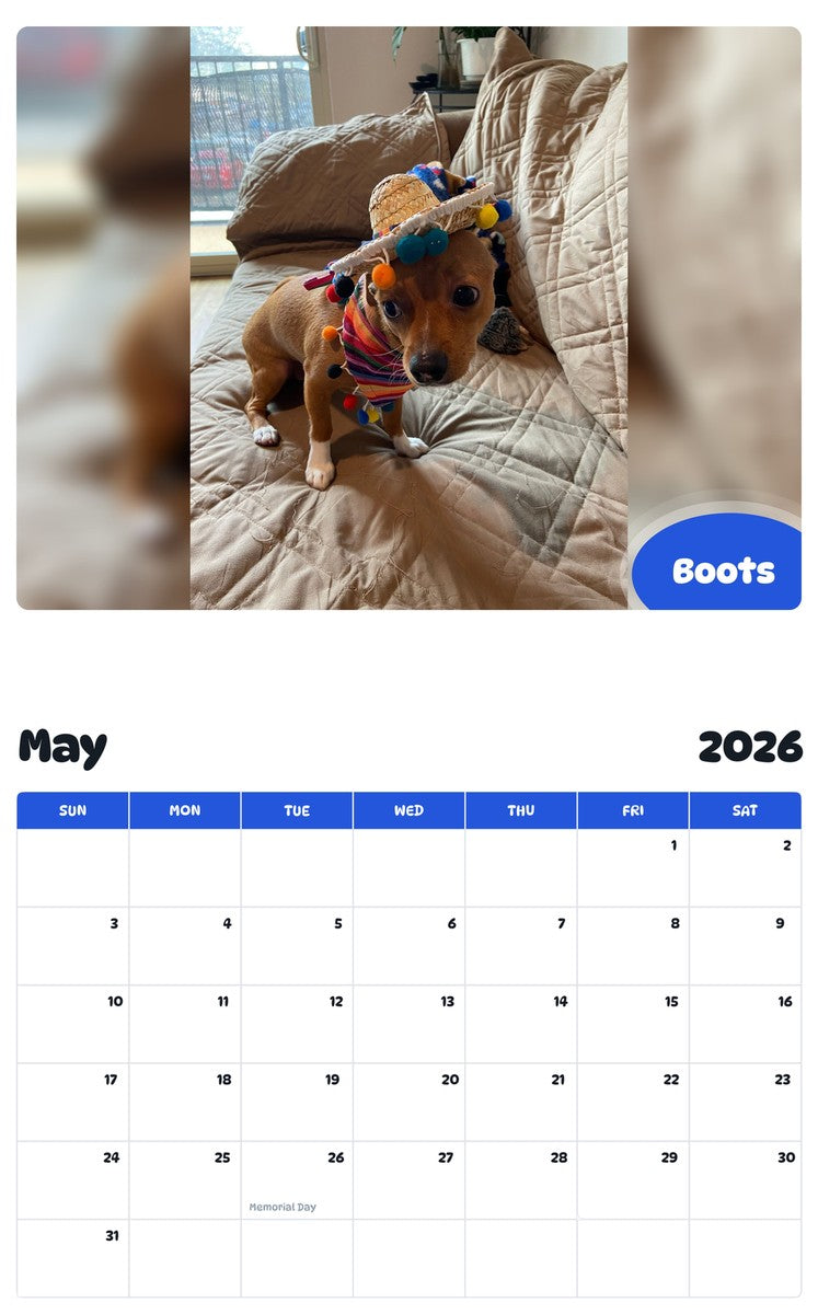 2026 - 2027 Boots - Pawidols Pet Calendar