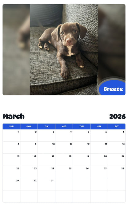 November 2025 - October 2026 Breeze - Pawidols Pet Calendar