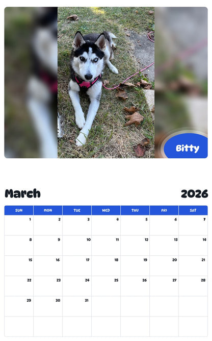 November 2025 - October 2026 Bitty - Pawidols Pet Calendar
